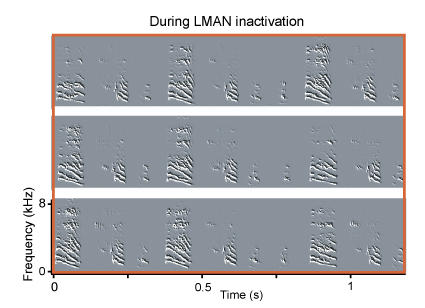 Inactivation During