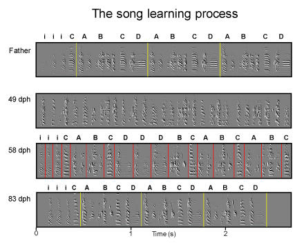 Song_Evolution
